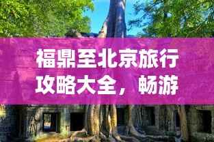福鼎至北京旅行攻略大全,畅游两地,尽享精彩之旅!