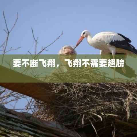 要不断飞翔,飞翔不需要翅膀