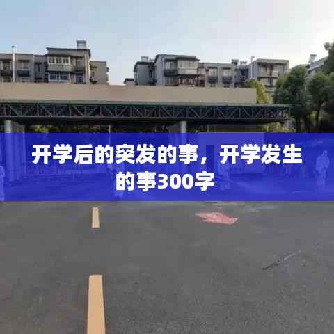 开学后的突发的事,开学发生的事300字