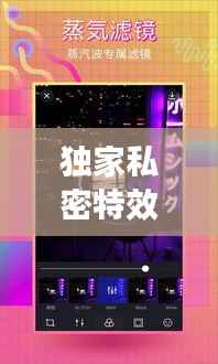 独家私密特效,独家私密特效软件