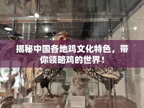 揭秘中国各地鸡文化特色,带你领略鸡的世界!