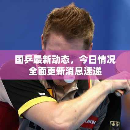 国乒最新动态，今日情况全面更新消息速递
