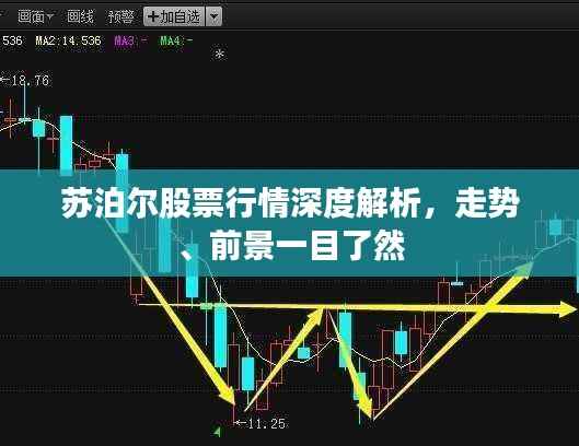 苏泊尔股票行情深度解析,走势、前景一目了然