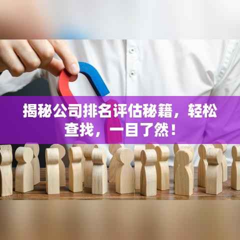 揭秘公司排名评估秘籍,轻松查找,一目了然!
