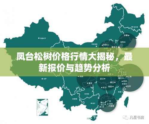 凤台松树价格行情大揭秘,最新报价与趋势分析