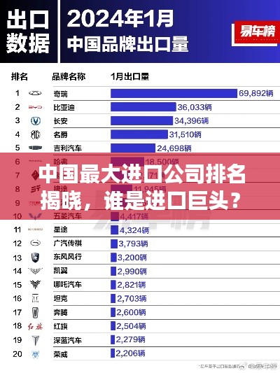 中国最大进口公司排名揭晓,谁是进口巨头?