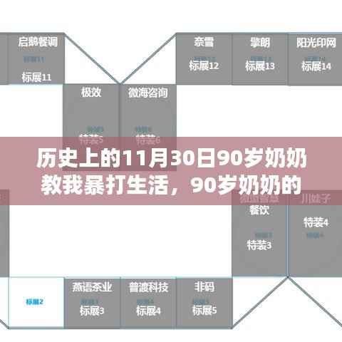 历史上的11月30日,90岁奶奶的智能生活秘籍与暴打生活启示录