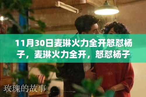 11月30日麦琳怒怼杨子事件,真相解析与反思