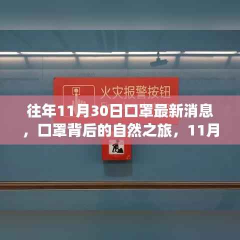 往年11月30日口罩背后的自然之旅,绿色逃离计划与口罩最新动态