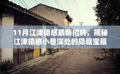11月江津德感最新招聘,揭秘江津德感小巷深处的隐藏宝藏,最新招聘与特色小店的奇遇记