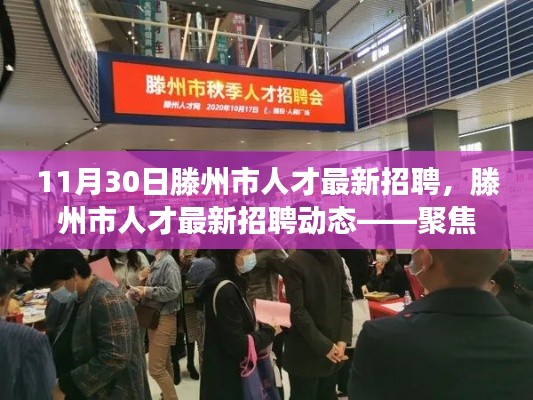 滕州市人才最新招聘动态,聚焦职场机遇与挑战交汇点