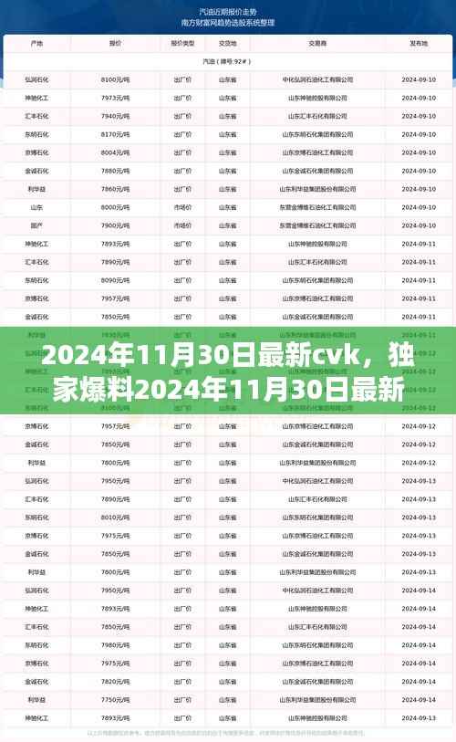 独家爆料,2024年11月30日最新CVK全解析与趋势引领