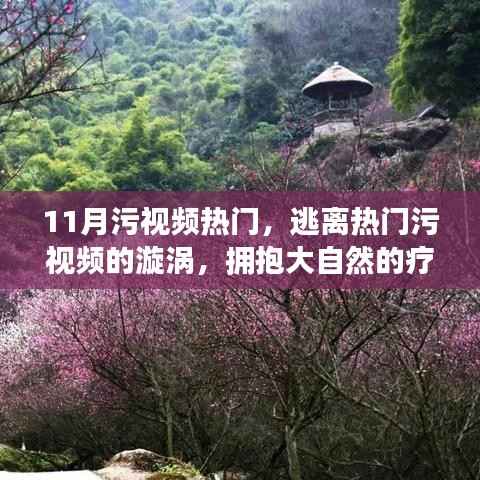 逃离热门污视频漩涡,拥抱自然疗愈之旅,11月热门污视频解析