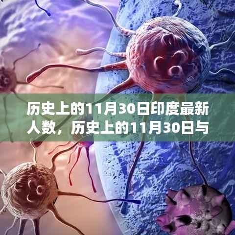 揭秘印度人口变迁,历史上的11月30日深度解析与观点阐述