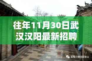 武汉汉阳最新招聘与小巷特色小店隐藏瑰宝探秘,11月30日招聘热点速递