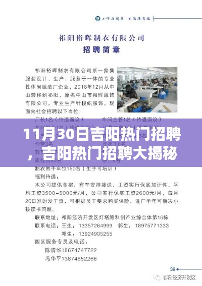 11月30日吉阳热门招聘盛宴,揭秘就业黄金时机!