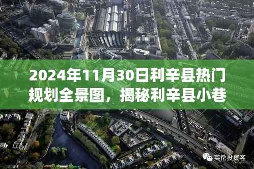 揭秘利辛县小巷风情,特色小店规划与探索全景图(2024年11月30日)