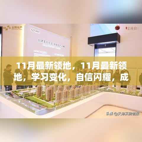 11月最新领地,学习变化,自信成就无限可能