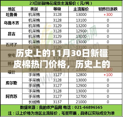 历史上的11月30日新疆皮棉价格详解,入门指南与最新动态