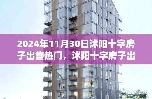 沭阳十字房子市场趋势深度解析,热门出售与多元观点探讨