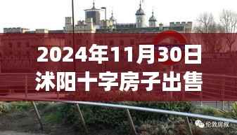 沭阳十字房子市场趋势深度解析,热门出售与多元观点探讨