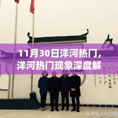 11月30日洋河热门现象深度解析,独特视角下的热门现象探讨