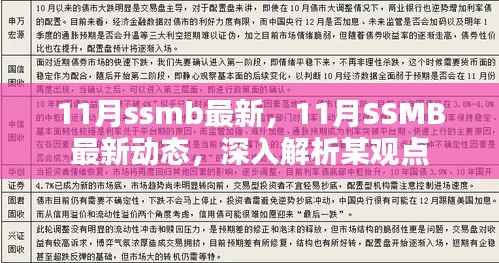 深入解析某观点，最新动态与解读关于11月SSMB的最新消息