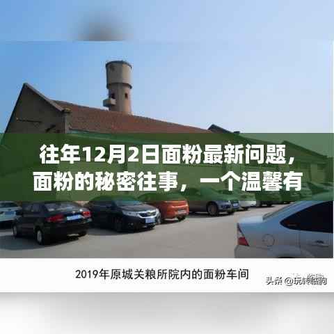 面粉的秘密往事,一个温馨有趣的日常故事之历年12月2日最新观察