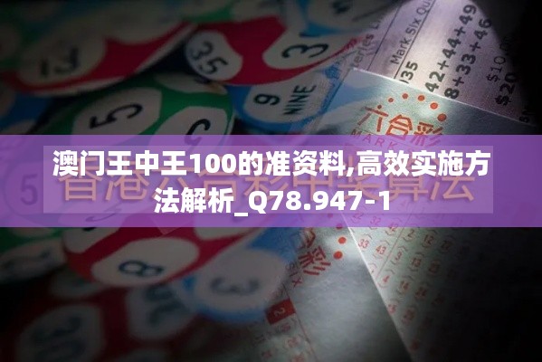 澳门王中王100的准资料,高效实施方法解析_Q78.947-1