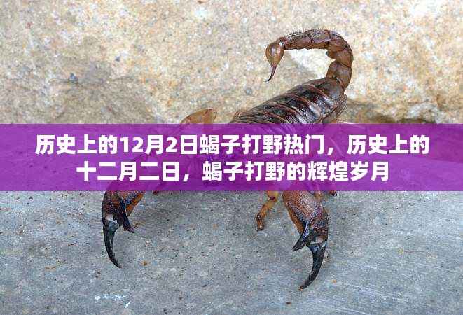 历史上的十二月二日,蝎子打野的辉煌岁月