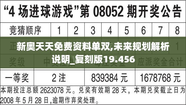 新奥天天免费资料单双,未来规划解析说明_复刻版19.456