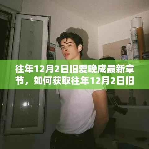 往年12月2日旧爱晚成最新章节获取指南,详细步骤解析