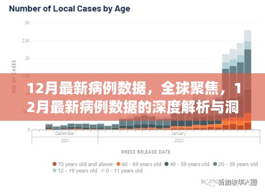 全球聚焦,深度解析与洞察12月最新病例数据