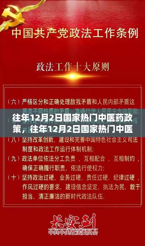 往年12月2日国家热门中医药政策解读与实操指南,政策解读与实操指南详解