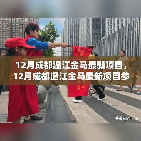 12月成都温江金马最新项目参与指南,逐步引领你完成任务