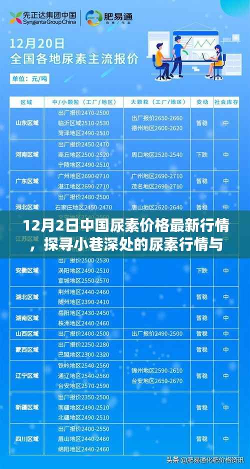 12月2日中国尿素价格最新动态,小巷深处的行情与特色小店探秘