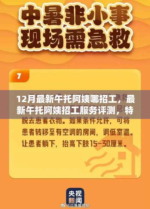 最新午托阿姨招工信息汇总,服务评测、特性分析、用户体验与目标群体探讨