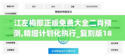 江左梅郎正版免费大全二肖预测,精细计划化执行_复刻版185.510-9