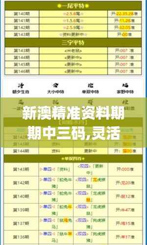 新澳精准资料期期中三码,灵活解析执行_9DM30.243-3