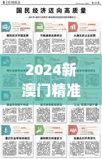 2024新澳门精准免费大全338期,准确资料解释落实_Pixel94.294-3