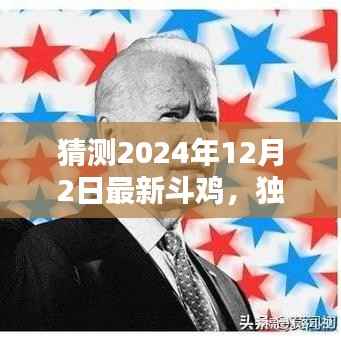 独家解析揭秘,预测中的斗鸡王者——2024年最新斗鸡猜测版全面评测与预测