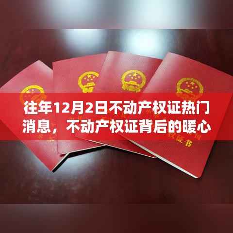 不动产权证背后的暖心故事,历年12月2日的温馨记忆与热门消息回顾