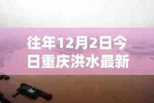 重庆洪水日,友情纽带与温馨日常的见证(往年12月2日洪水最新情况)