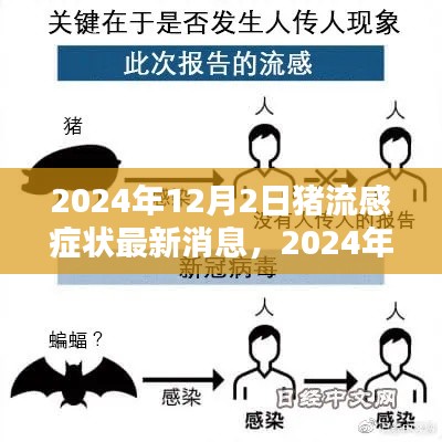 猪流感最新症状解析与防治指南,2024年猪流感症状识别与应对策略