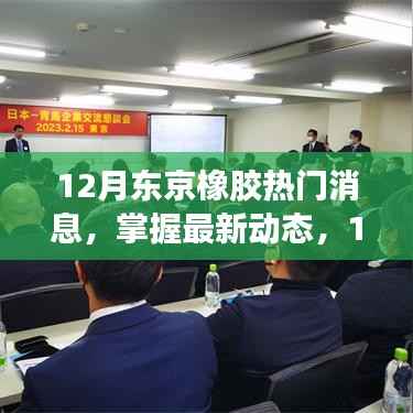 12月东京橡胶热门消息全解析,掌握最新动态与行情