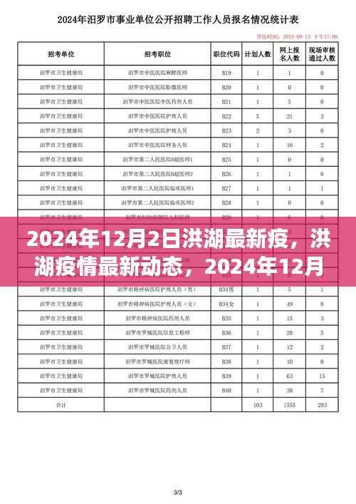 洪湖疫情最新动态,历史性转折与最新进展(2024年12月)