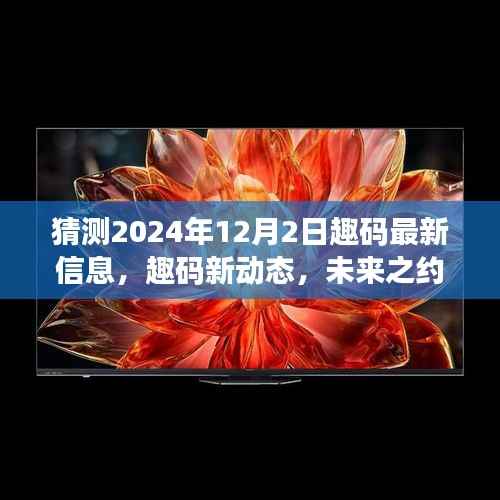 趣码未来展望,最新动态揭秘,温馨相伴奇妙时光预测至2024年12月2日