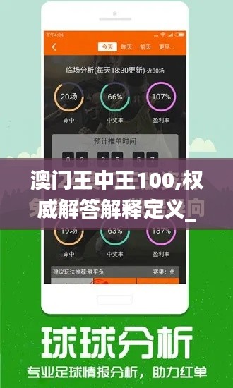 澳门王中王100,权威解答解释定义_精简版96.630-5