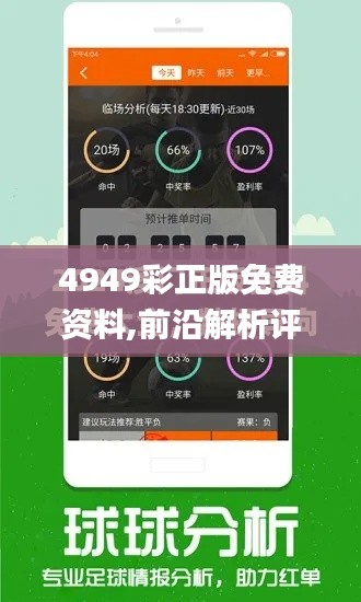 4949彩正版免费资料,前沿解析评估_8DM65.967-1