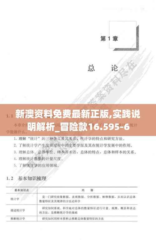 新澳资料免费最新正版,实践说明解析_冒险款16.595-6